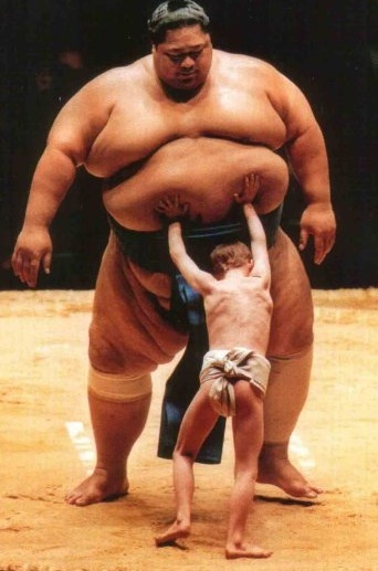 Sumo Kid Diagram