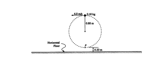Rubber ball experiment