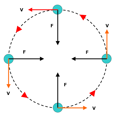 circMotion