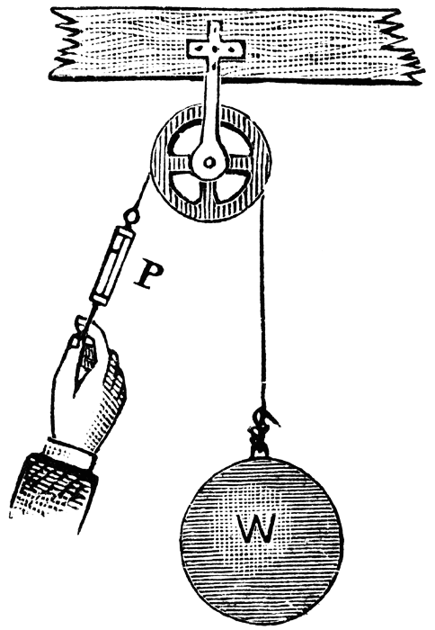 Fixed Pulley