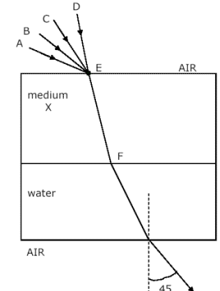 Wave Test 2 Tips